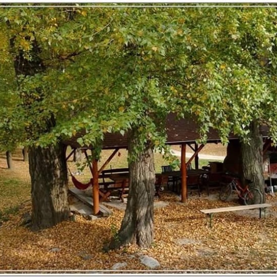 Győr -Dunakanyar- Visegrád