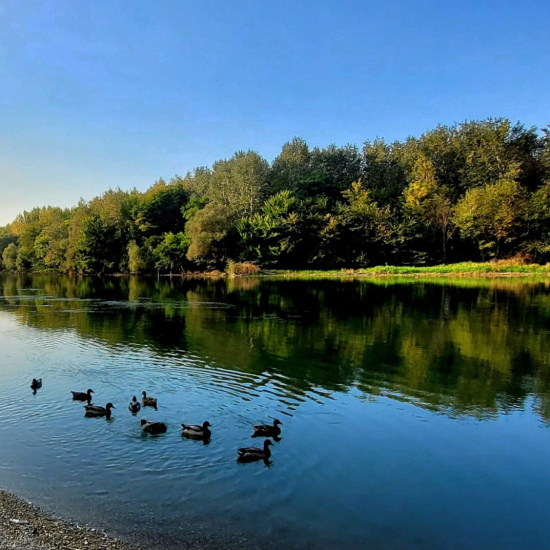 Győr -Dunakanyar- Visegrád